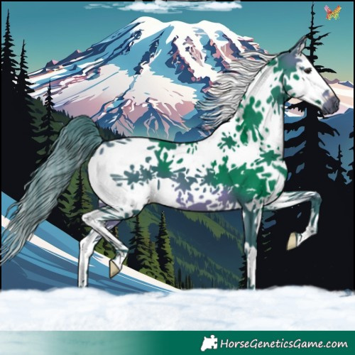 Horse Color:Watercolor White Spotted Brown Splash Tobiano