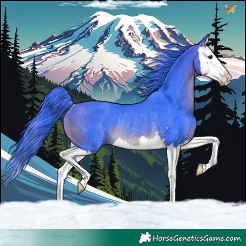 Horse Color:Watercolor Brown Splash Rabicano