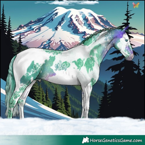 Horse Color:Watercolor White Spotted Buckskin Splash Tobiano Rabicano