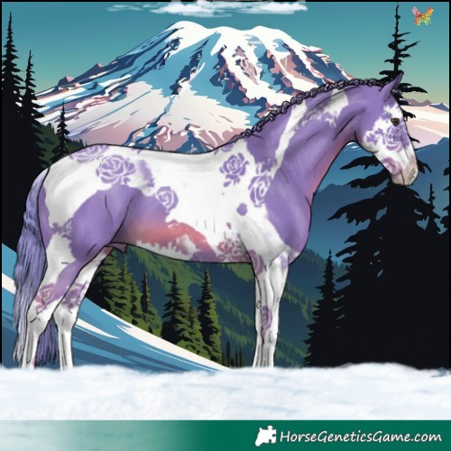 Horse Color:Watercolor Chestnut Splash Tobiano
