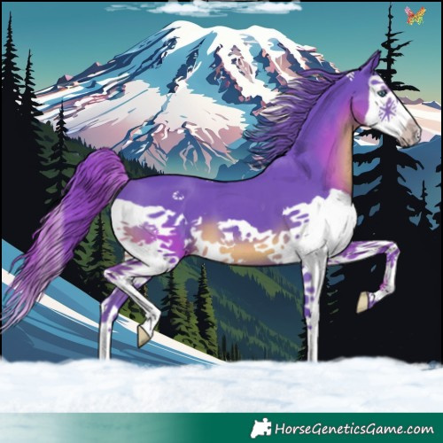 Horse Color:Watercolor Smoky Black Splash 