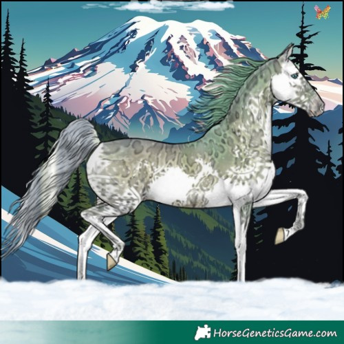 Horse Color:Watercolor Liver Red Onyx Ice Splash