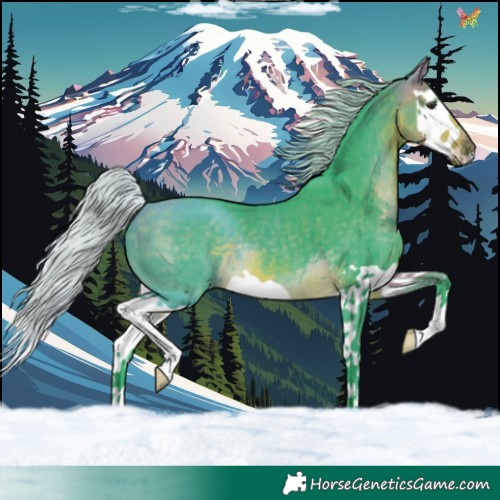 Horse Color:Watercolor Silver Buckskin Splash 