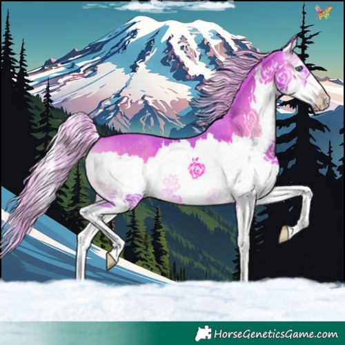 Horse Color:Watercolor Palomino Onyx Splash 