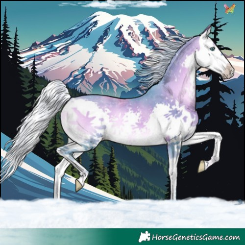 Horse Color:Watercolor Silver Brown Onyx Splash 