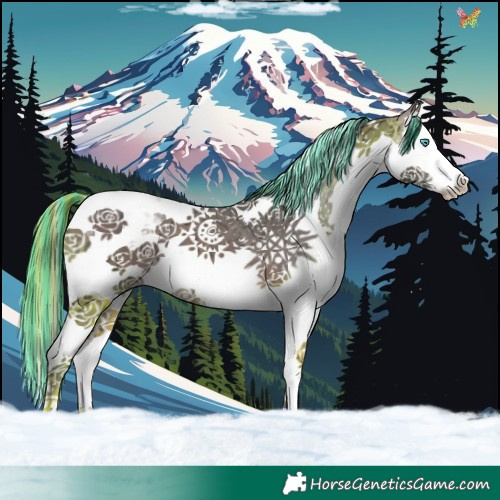 Horse Color:Painted Bay Ice Splash Tobiano 