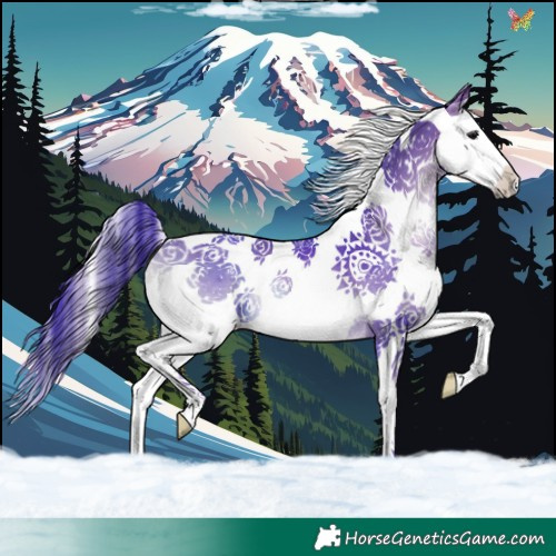 Horse Color:Watercolor Brown Onyx Splash Tobiano