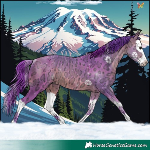 Horse Color:Watercolor Bay Ice Splash Rabicano 