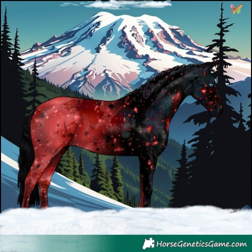 Horse Color:ERROR: UNKNOWN ANOMALY