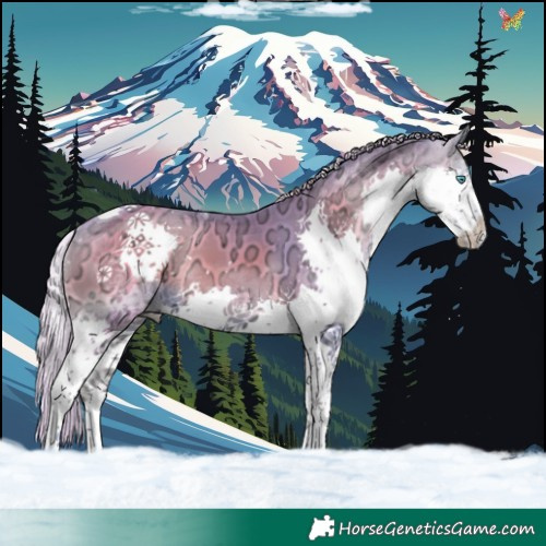 Horse Color:Watercolor Silver Smoky Blue Onyx Ice Splash Tobiano