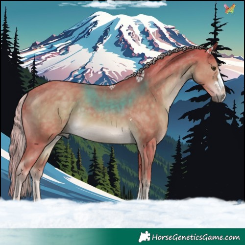 Horse Color:Watercolor Chocolate Palomino