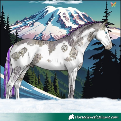 Horse Color:Painted Watercolor Chocolate Silver Brown Ice Splash 