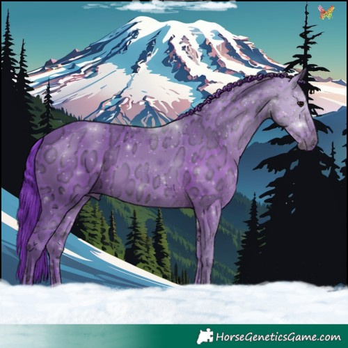 Horse Color:Watercolor Smoky Black Ice