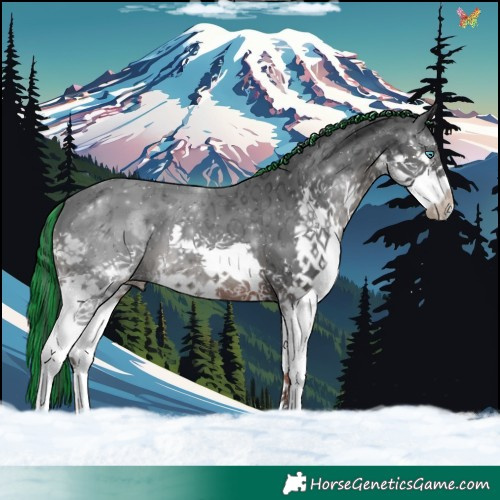 Horse Color:Painted Black Ice Splash