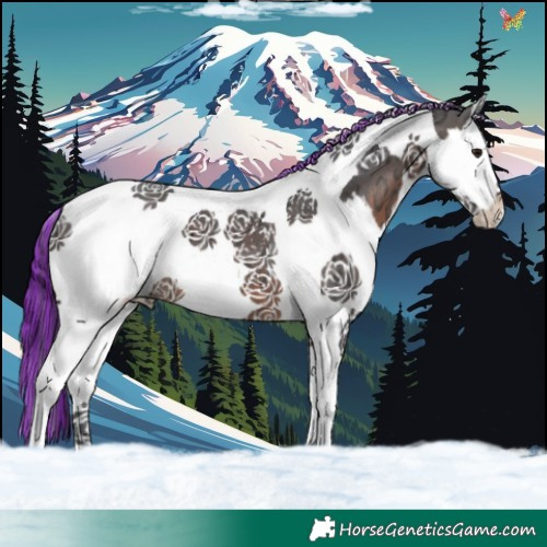 Horse Color:Painted White Spotted Brown Ice Splash Tobiano