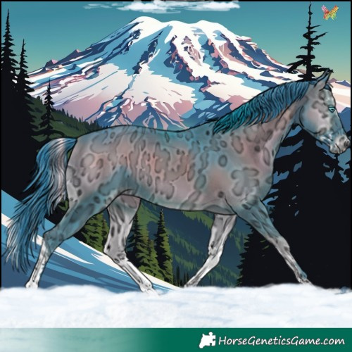 Horse Color:Watercolor White Spotted Blue Onyx Ice Splash