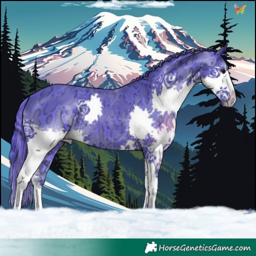 Horse Color:Painted Watercolor Black Ice Splash 