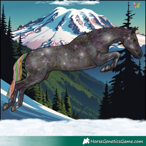Horse Color:Painted Watercolor Midnight Black Ice