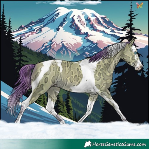 Horse Color:Watercolor Amber Cream Champagne Ice Splash Tobiano 