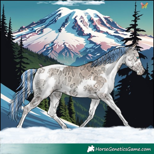 Horse Color:Painted Silver Amber Champagne Ice Onyx Splash Tobiano Rabicano