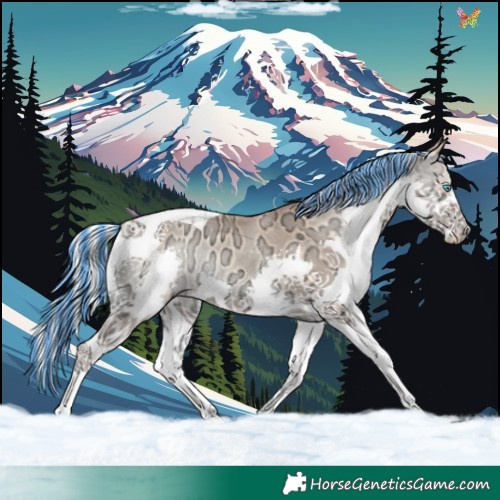 Horse Color:Painted Silver Amber Champagne Ice Onyx Splash Tobiano Rabicano 