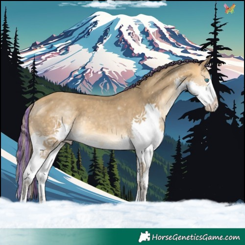 Horse Color:Painted Sable Cream Champagne Splash