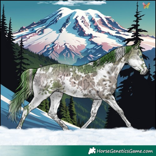 Horse Color:Watercolor White Spotted Bay Ice Onyx Splash
