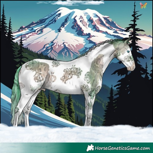Horse Color:Watercolor Bay Ice Onyx Splash Tobiano 