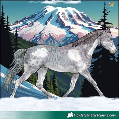 Horse Color:Watercolor Gold Champagne Ice Splash
