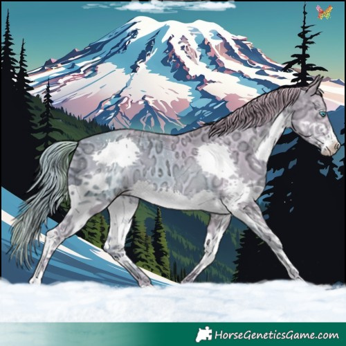 Horse Color:Watercolor Gold Champagne Ice Splash 