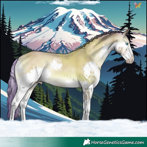 Horse Color:Watercolor Classic Champagne Onyx Splash 