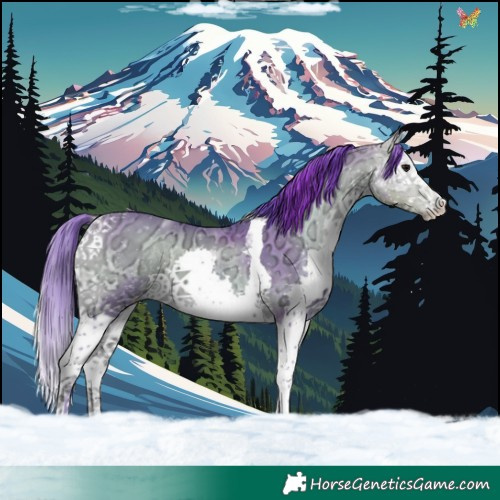 Horse Color:Watercolor Buckskin Ice Onyx Splash Tobiano 
