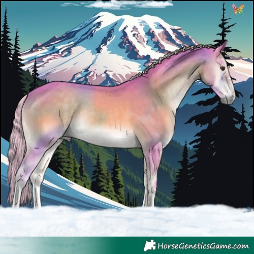 Horse Color:Watercolor Palomino Onyx 