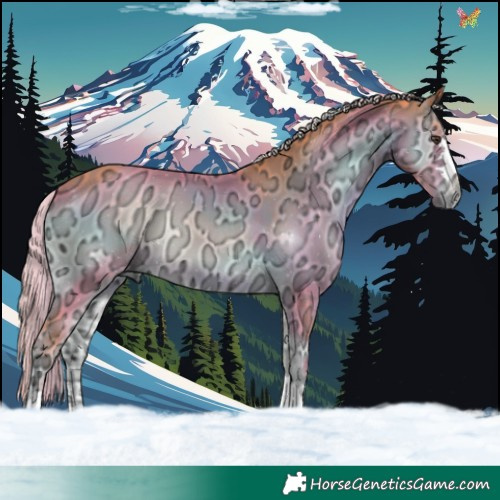 Horse Color:Watercolor Chocolate Palomino Ice Onyx 
