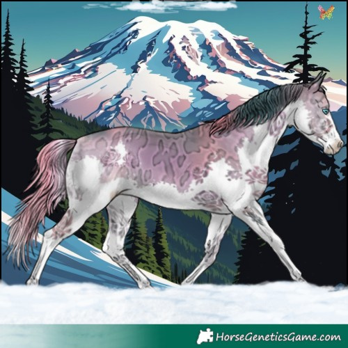 Horse Color:Watercolor Smoky Blue Onyx Ice Splash