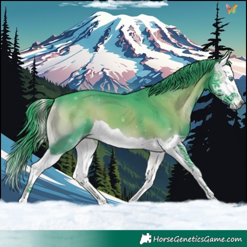 Horse Color:Watercolor Blue Onyx Splash