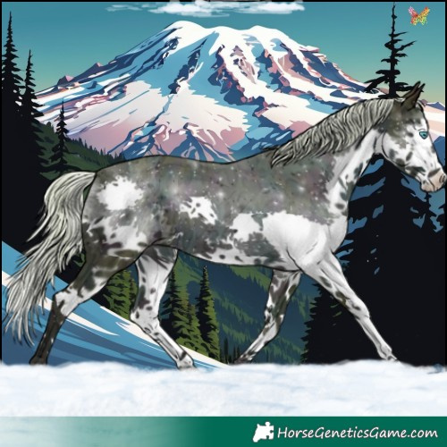 Horse Color:Watercolor Midnight Chocolate Palomino Ice Splash 