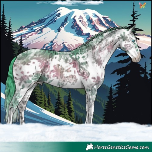 Horse Color:Watercolor Blue Onyx Ice Sabino Splash 