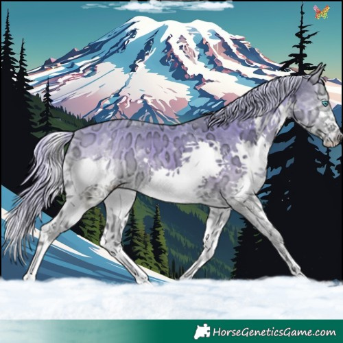Horse Color:Watercolor Cremello Ice Onyx Splash 