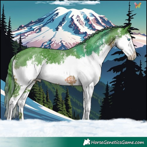 Horse Color:Painted Watercolor Smoky Black Sabino Splash 