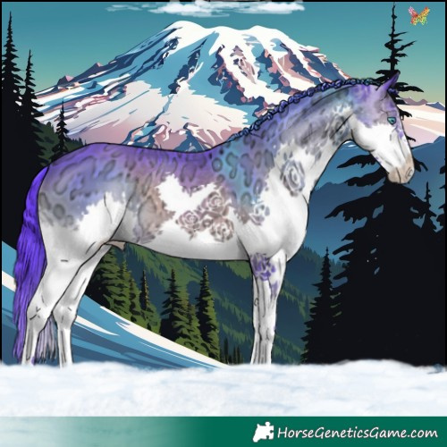 Horse Color:Watercolor Smoky Blue Onyx Ice Splash 