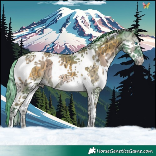Horse Color:Watercolor Chocolate Blue Onyx Ice Splash Tobiano