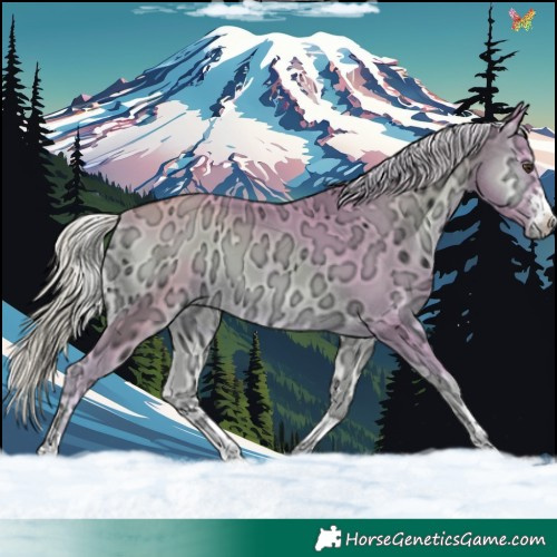 Horse Color:Watercolor Palomino Ice Onyx