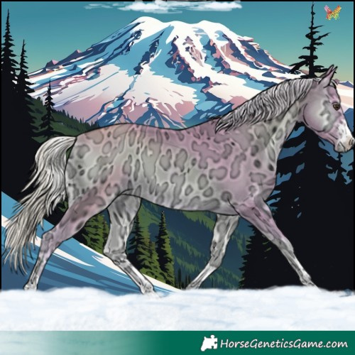 Horse Color:Watercolor Palomino Ice Onyx