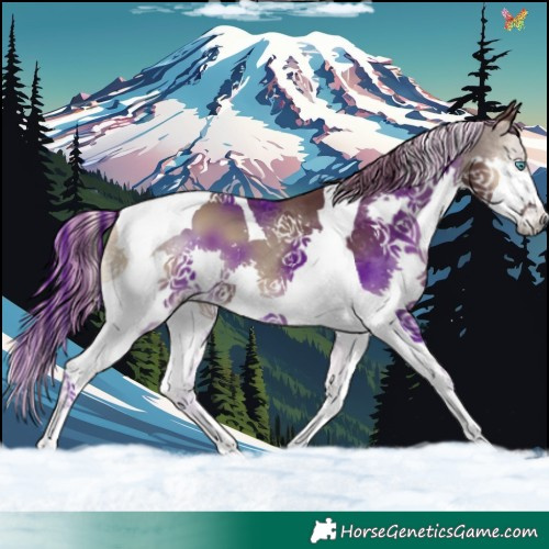 Horse Color:Painted Chocolate Smoky Blue Onyx Splash Tobiano