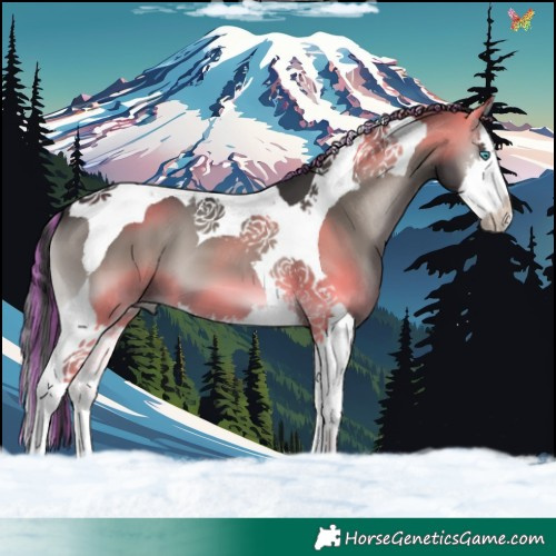Horse Color:Platinum Painted Smoky Blue Onyx Splash Tobiano