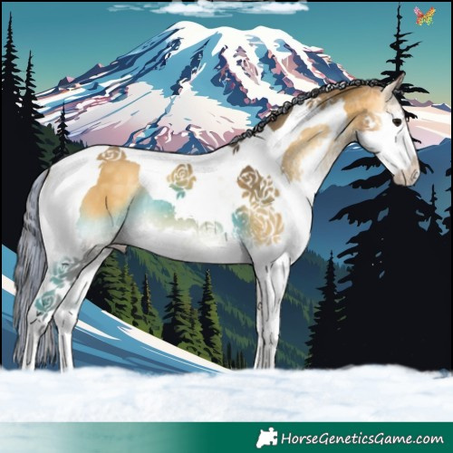 Horse Color:Painted Buckskin Onyx Splash Tobiano