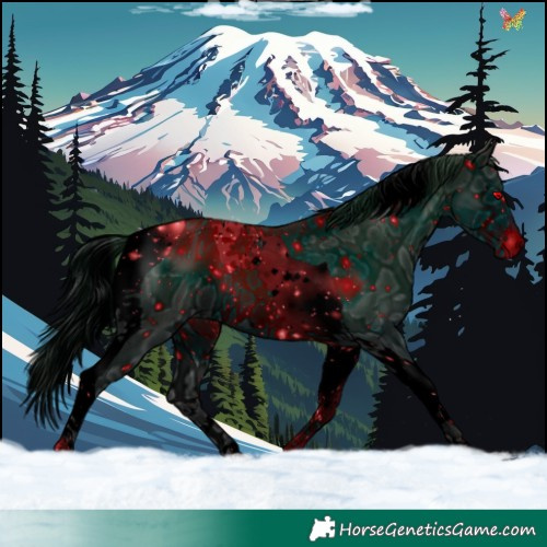 Horse Color:ERROR: UNKNOWN ANOMALY