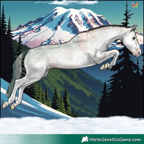 Horse Color:Watercolor Classic Cream Champagne Ice Onyx Splash 