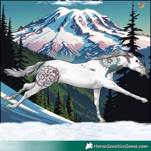 Horse Color:Watercolor Silver Brown Splash Tobiano